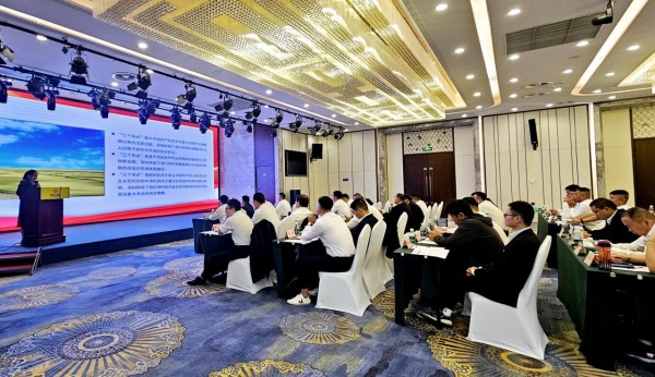 图片 9